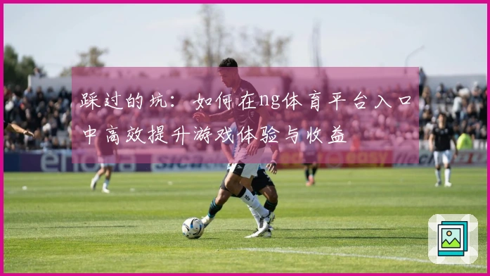 踩过的坑：如何在ng体育平台入口中高效提升游戏体验与收益