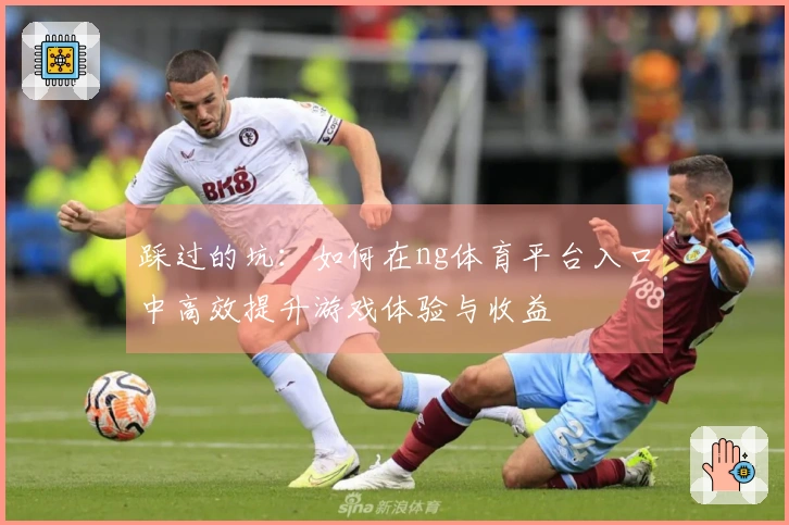 踩过的坑：如何在ng体育平台入口中高效提升游戏体验与收益